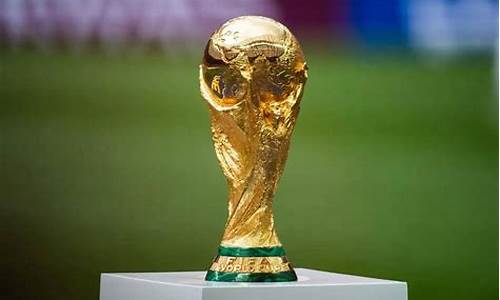 巴西世界杯参赛国,巴西世界杯西班牙出线了吗